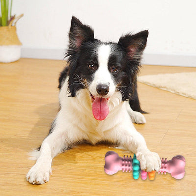 Dog Bone Chew Toy